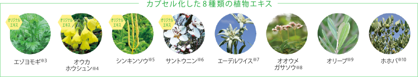 8種の植物